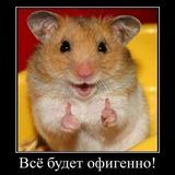 факты и тесты･ﾟ♡