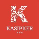 Соц. проект KASIPKER ANA