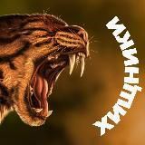 Хищники