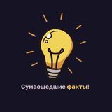 Сумасшедшие факты!