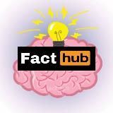 Fact Hub