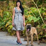 Celebrity Starlet питомник Кане Корсо