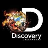Discovery 