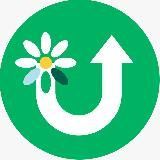 Ромашка By Ubirator