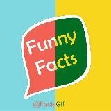 Funny Facts