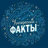 Узнай Все