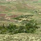 زندگی در طبیعت