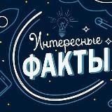 Интересные факты 