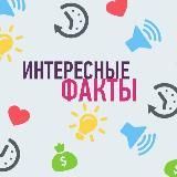 Интересные факты