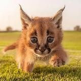 Книга Природы