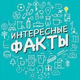 Интересные факты