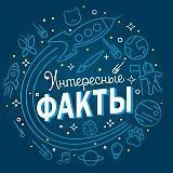 Интересные факты.