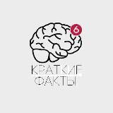 Краткие Факты