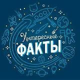 Интересные Факты 