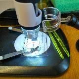 Что под микроскопом What is under the microscope
