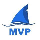 MVP TEAM: обучение покеру и бекинг