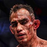 Bloody Bets: ставки и прогнозы на MMA