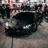 IRON BET FREE 