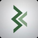 Bettex coin_rus
