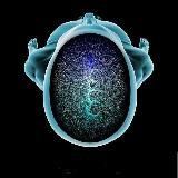 Neuro  Freak