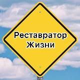 Реставратор жизни