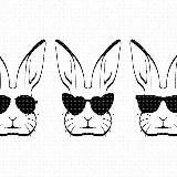 Psycho bunny Mindhealth