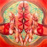 Открытая Жизнь