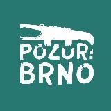 Pozor! Brno | Чехия | Новости