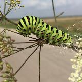 Путешествуя по Грузии