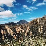 Tales from Middle-Earth