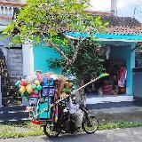 Твой друг на Бали