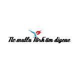 The Turkish Times