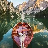 Window in World 