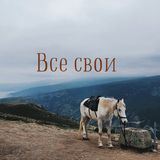 ВСЕ СВОИ ⛰ Туры в Дагестан