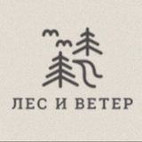 Лес и ветер  