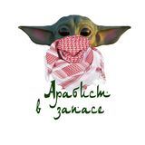Арабист в запасе
