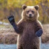Открытый Дальний Восток