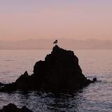 Pacific North West 