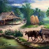 Сомчай ТВ 