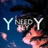 You Need You Fly