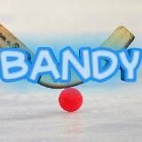 BANDY - хоккей с мячом 