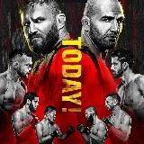 Повторы боев UFC