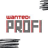 Recruiter Profi
