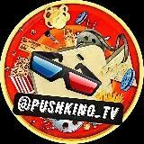 КИНОТЕАТР  &laquo;PushKinoTV&raquo;