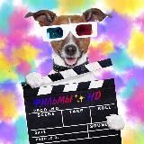 Лучшие фильмы XXI