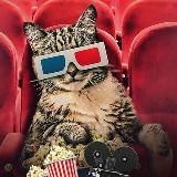 Кино/Фильмы