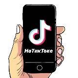 На ТикТоке  Видео-топчик