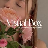 visual box • @tvikker