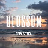 ОБРАБОТКА | СТОРИЗ | ПРЕСЕТЫ  BLOSSOM