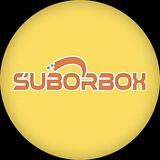 SUBOR Электронки оптом